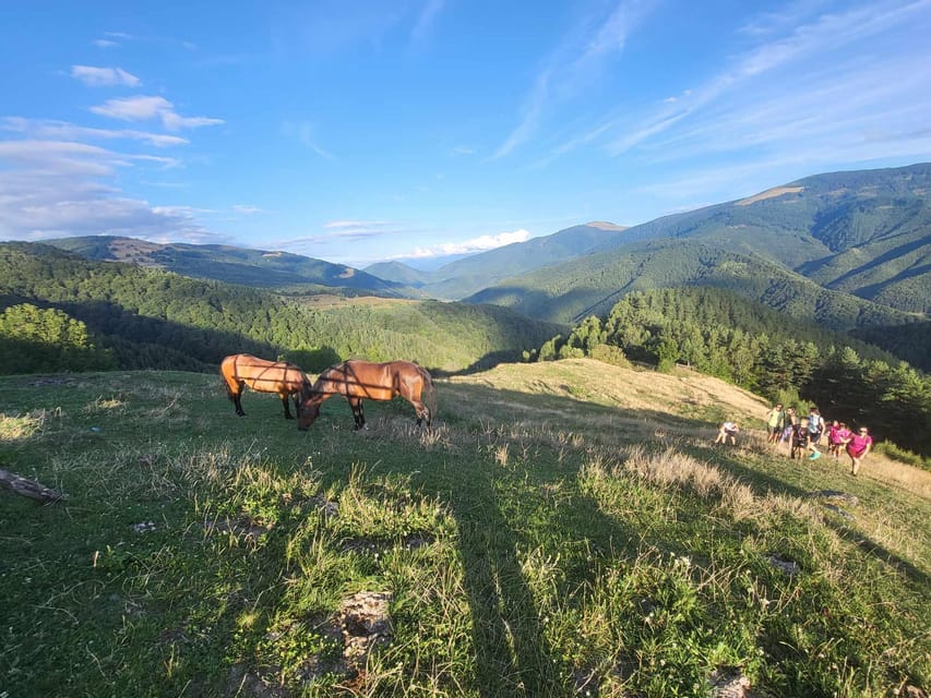 Sibiu: Cindrel Mountains Hike with Traditional Brunch - Who should book this Cindrel Mountains hike