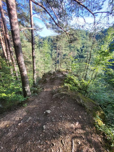 Sibiu: Cindrel Mountains Hike with Traditional Brunch - Alex adds stories to the walk