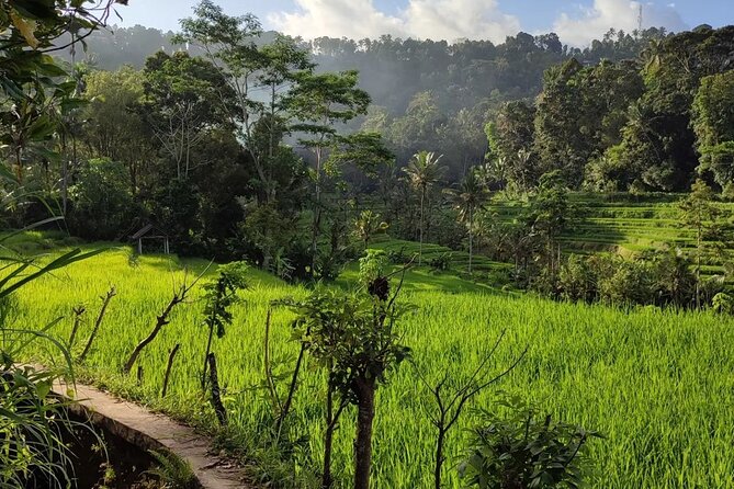 Sidemen Trekking: A Walk from a Different Perspective - Dukuh Village and the Human Side of the Walk
