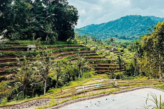 Sidemen Trekking: A Walk from a Different Perspective - Starting at Pasar Sidemen and Upa Boga
