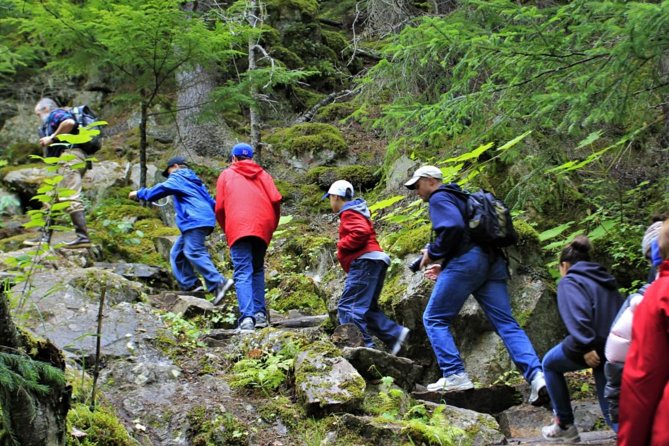 Skagway Shore Excursion Chilkoot Trail Hike and Float Tour - The first mile: steep, rocky, and worth taking slowly