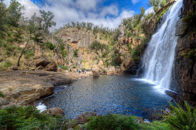 Small-Group Grampians Great Wildlife Escape Day Trip with Hiking - Boroka Lookout and wide eastern views