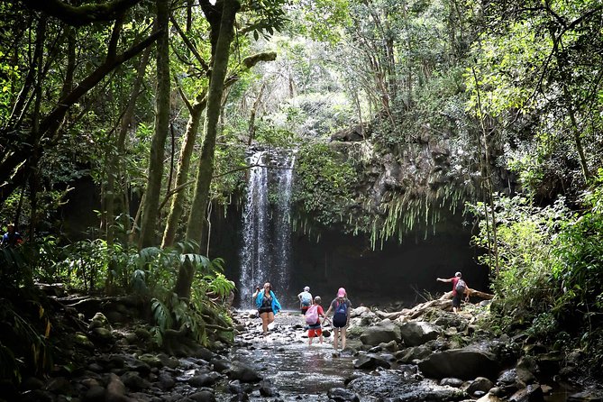 Small Group Waterfall and Rainforest Hiking Adventure on Maui - Waterfalls, pools, and optional rock jumps