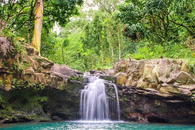 Small Group Waterfall and Rainforest Hiking Adventure on Maui - What the guides add to the day