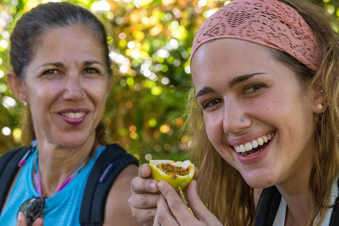 Small Group Waterfall and Rainforest Hiking Adventure on Maui - Lunch, snacks, and what is included