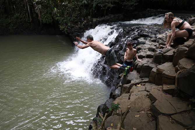 Small Group Waterfall and Rainforest Hiking Adventure on Maui - Group size and the feel of the outing
