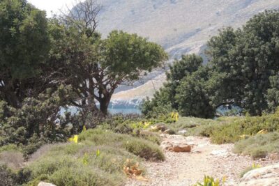 South Crete: Sarakinas Gorge Hike, Swim & Jeep Safari