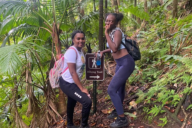 St.Kitts Volcano Hike To Mt. Liamuiga (Highest Peak On Island) - Transport, timing, and cruise-ship caution