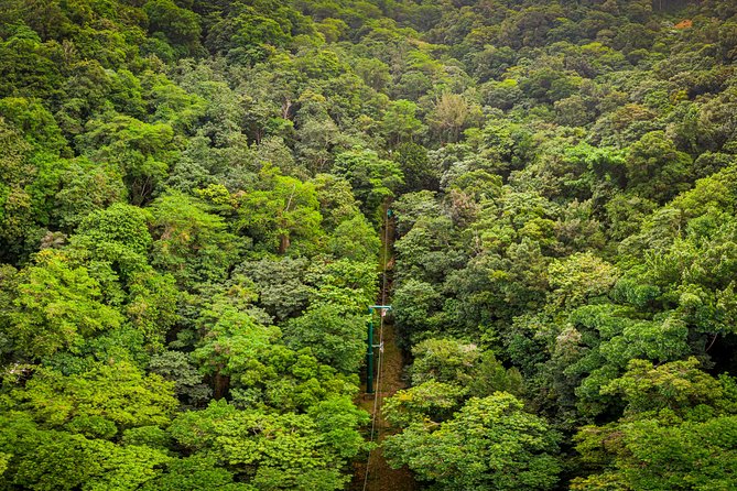 St Lucia Ultimate 3: Aerial Tram, Zipline and Hiking at Rainforest Adventures - The uphill walk to the canopy course