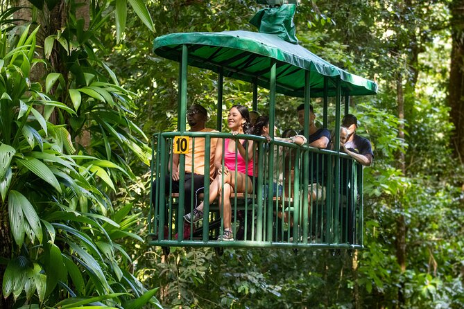 St Lucia Ultimate 3: Aerial Tram, Zipline and Hiking at Rainforest Adventures - Eight lines through 16 rainforest platforms