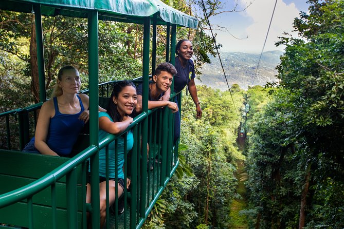 St Lucia Ultimate 3: Aerial Tram, Zipline and Hiking at Rainforest Adventures - Who should choose this rainforest adventure
