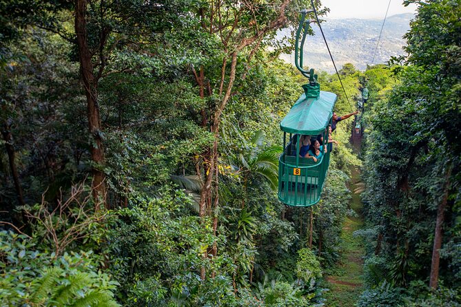 St. Lucia Zip line, Aerial Tram and Hiking tour Ultimate 3 - What makes this St. Lucia rainforest tour worth considering