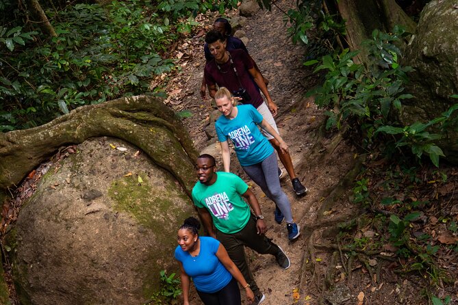 St. Lucia Zip line, Aerial Tram and Hiking tour Ultimate 3 - The first rainforest walk is the real warm-up