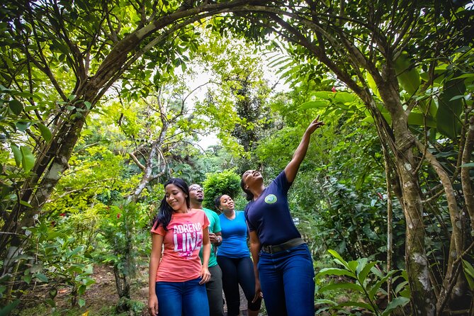 St. Lucia Zip line, Aerial Tram and Hiking tour Ultimate 3 - The return hike makes the tour more than a zip line park