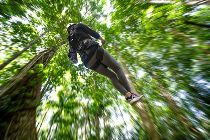 St. Lucia Zip line, Aerial Tram and Hiking tour Ultimate 3 - Refreshments, photographs, and the final practicalities