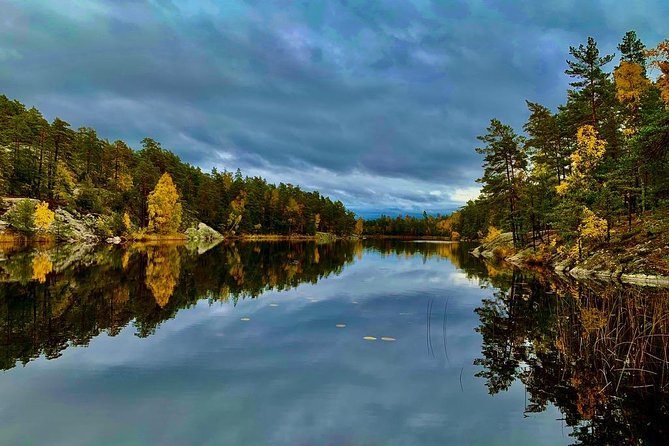Stockholm: Nature Reserve Hiking Tour with Campfire Lunch - Returning to Stockholm by local bus