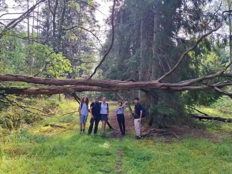 Stockholm: Nature Reserve Hiking Tour with Campfire Lunch - Practical preparation for the day