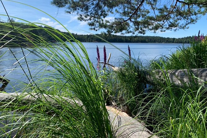 Stockholm: Sunset Hike in Tyresta National Park with Meal - The first 1.5 hours through Tyresta forest