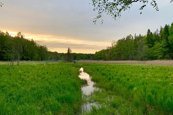 Stockholm: Sunset Hike in Tyresta National Park with Meal - A lakeside pause with fika and dinner