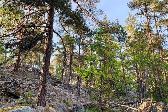 Stockholm: Sunset Hike in Tyresta National Park with Meal - What to wear and carry for Tyresta