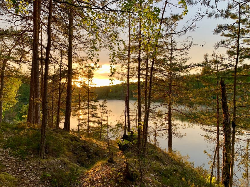 Stockholm: Sunset Hike in Tyresta National Park with Meal - A closer look at the four-and-a-half-hour schedule