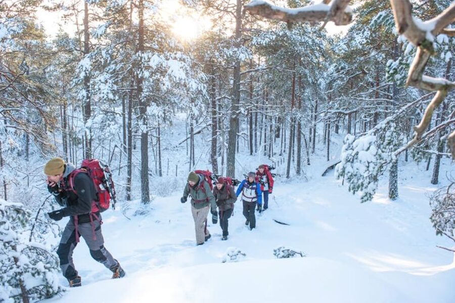 Stockholm: Winter Snowshoe Full-Day Hike - From Stockholm streets to a frozen forest