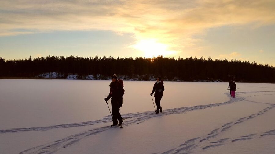 Stockholm: Winter Snowshoe Full-Day Hike - Forest trails, deer tracks, and Swedish wildlife