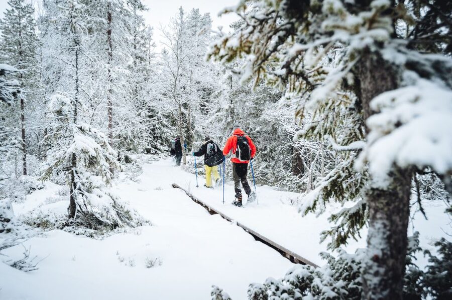 Stockholm: Winter Snowshoe Full-Day Hike - The second half of the hike