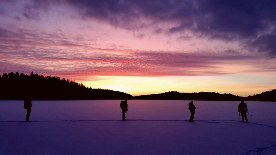 Stockholm: Winter Snowshoe Full-Day Hike - Price and what the $176 covers