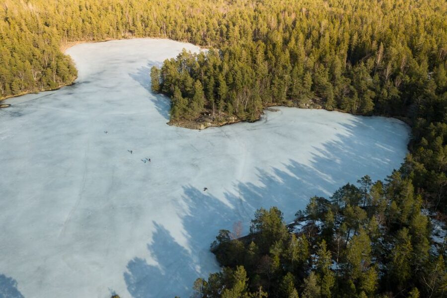 Stockholm: Winter Snowshoe Full-Day Hike - Learning to walk on snow and ice
