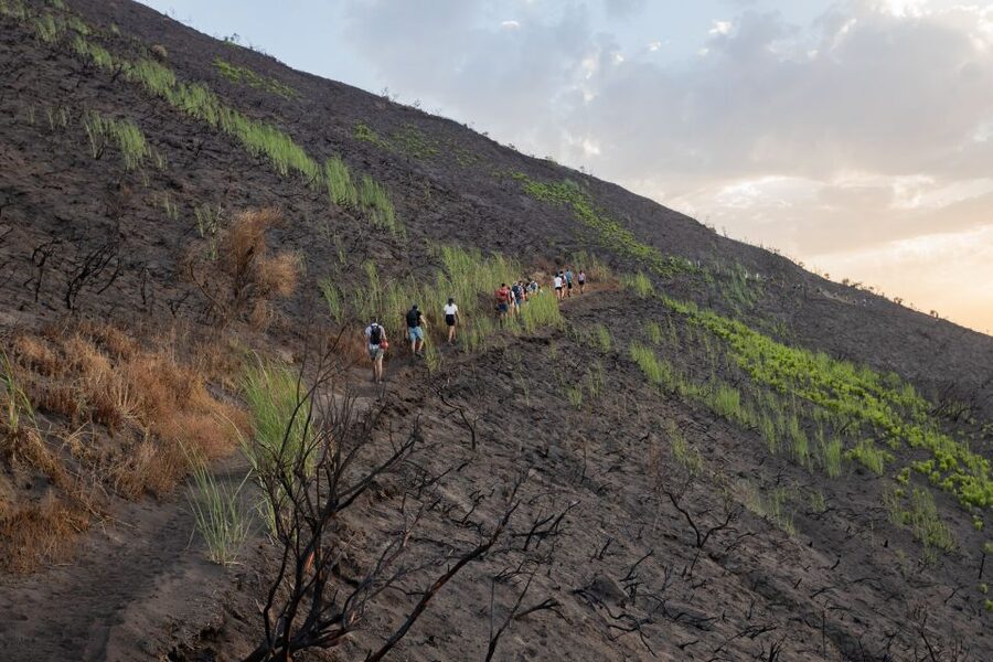 Stromboli: Sunset Trekking at Sciara del Fuoco - Guides, equipment, and the value of the price