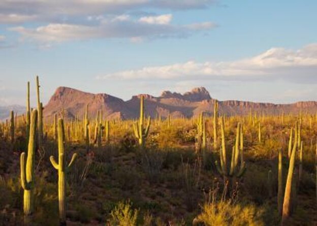 Stunning Sunset or Sunrise Guided Hiking Adventure in Phoenix - Key points to know before booking