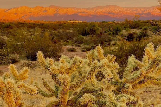 Stunning Sunset or Sunrise Guided Hiking Adventure in Phoenix - A flexible climb, not a one-size-fits-all route