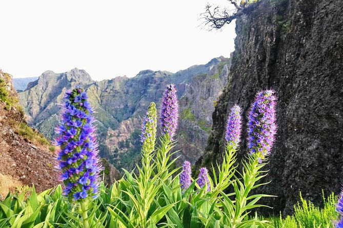 Sunrise Guided Hike PR1 Pico do Areeiro Pico Ruivo small group - Why this sunrise hike is worth the early alarm