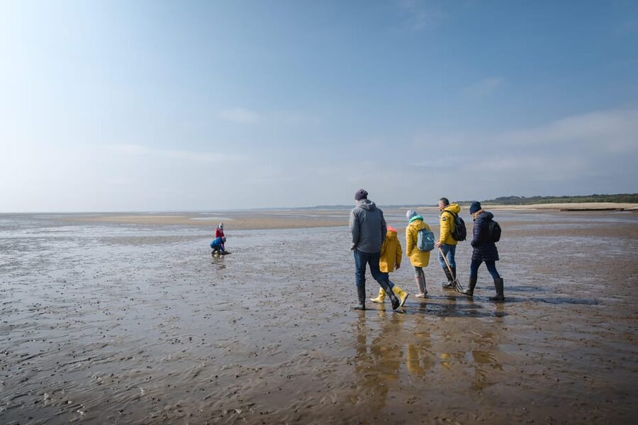 Sylt: Guided Mudflat Hike on the Island - Key points to know before you book