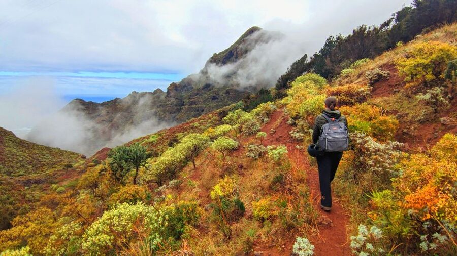 Tenerife: Anaga Mountains & Enchanted Forest Hiking Tour - Key points to know before booking
