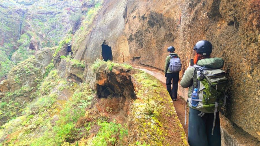 Tenerife: Anaga Mountains & Enchanted Forest Hiking Tour - The morning drive and the Enchanted Forest