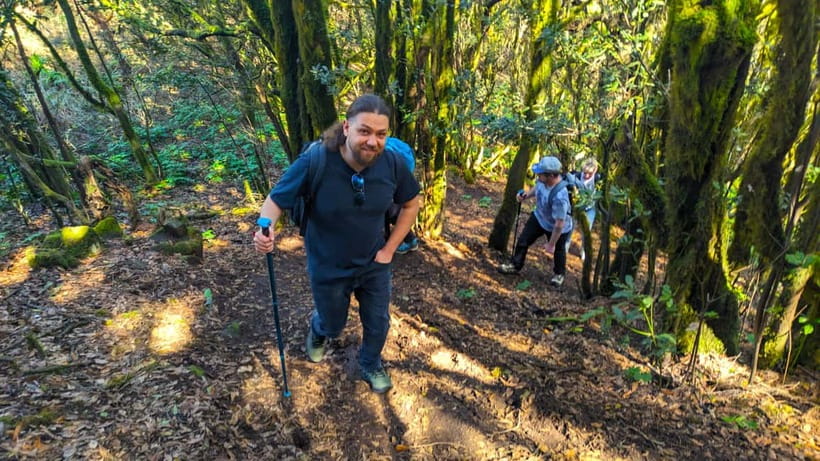 Tenerife: Hike Above Masca in Enchanted Forest with Pick-up - The first two hours: pine forest and volcanic views