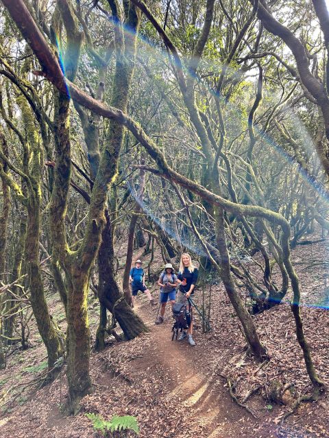 Tenerife: Hike Above Masca in Enchanted Forest with Pick-up - Small groups make the guiding better