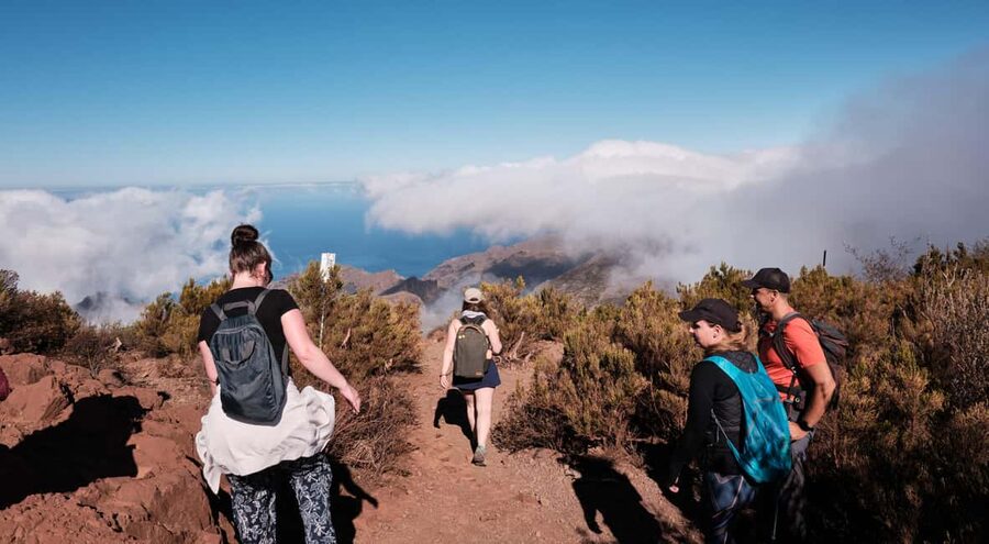 Tenerife: Hike Above Masca in Enchanted Forest with Pick-up - Pickup from Tenerife South saves half the hassle