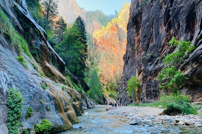 The Narrows: Zion National Park Private Guided Hike - Walking into Zion’s most famous canyon