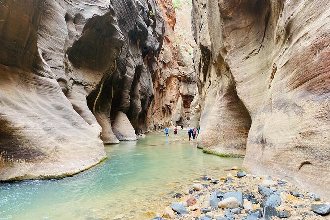 The Narrows: Zion National Park Private Guided Hike - What your guide adds to the canyon
