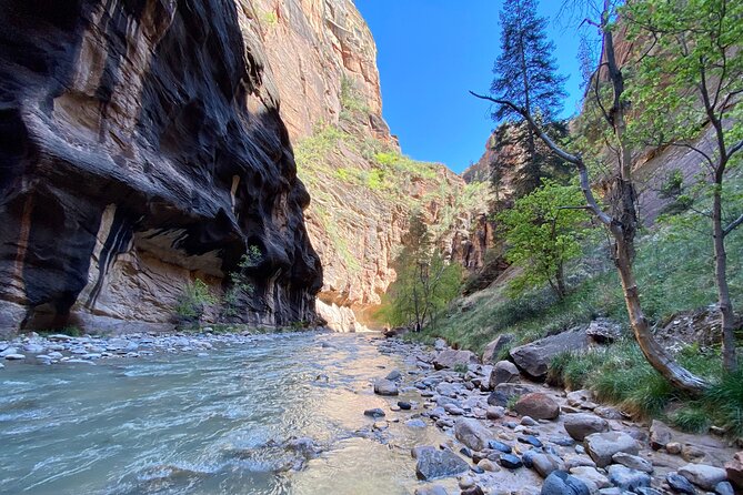 The Narrows: Zion National Park Private Guided Hike - The picnic at Zion Lodge