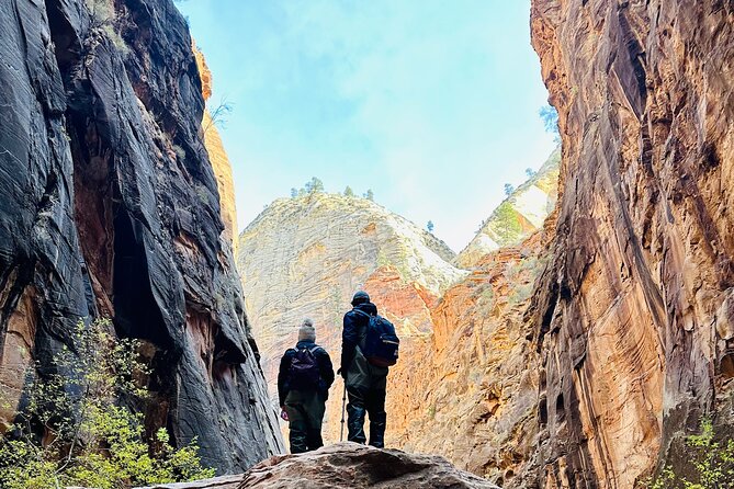 The Narrows: Zion National Park Private Guided Hike - Who should book this private hike