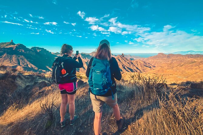 The Volcano Heart Tour: Hiking, Tasting and Sunset Experience - Transport makes the winding roads worthwhile
