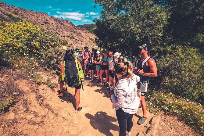 The Volcano Heart Tour: Hiking, Tasting and Sunset Experience - Cruz de Tejeda brings food and mountain culture