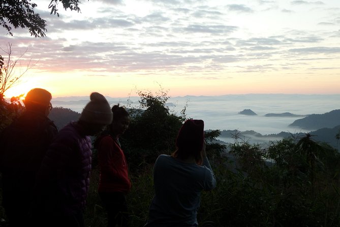 The Wild Explorer - 3 days forest trek with homestay and camping - Day two: the hardest work and the best camp setting