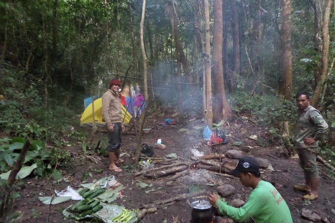 The Wild Explorer - 3 days forest trek with homestay and camping - Day three: one last forest morning and the walk out