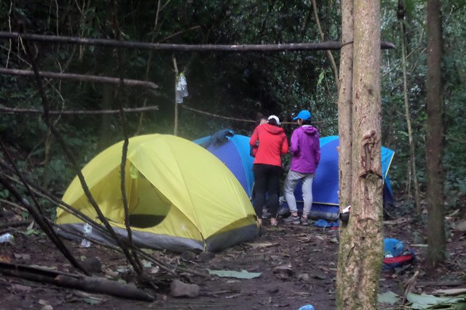 The Wild Explorer - 3 days forest trek with homestay and camping - What the guide adds to the experience