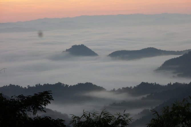 The Wild Explorer - 3 days forest trek with homestay and camping - Wildlife: enjoy the forest, but do not expect a safari